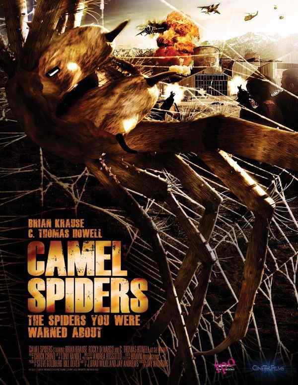 Camel Spiders out on DVD March 27! | Horror Society