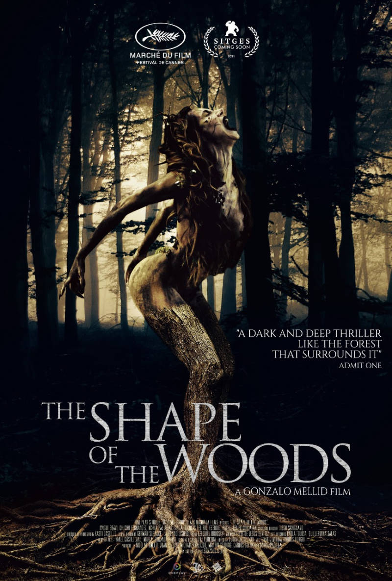 into the woods movie poster 2022